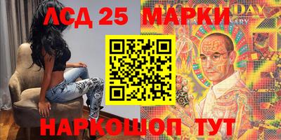 мяу мяу мука Будённовск