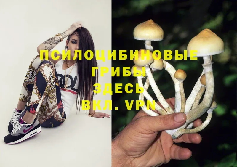 Псилоцибиновые грибы Magic Shrooms  Лянтор 