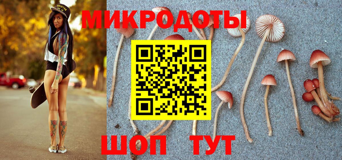 Лянтор  Псилоцибиновые грибы мицелий  Вход с VPN 
