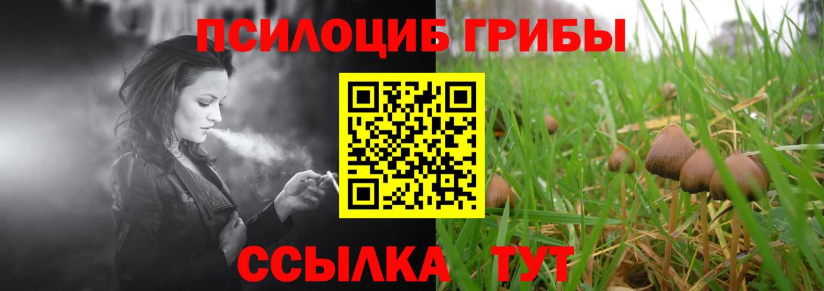 Псилоцибиновые грибы Cubensis Лянтор